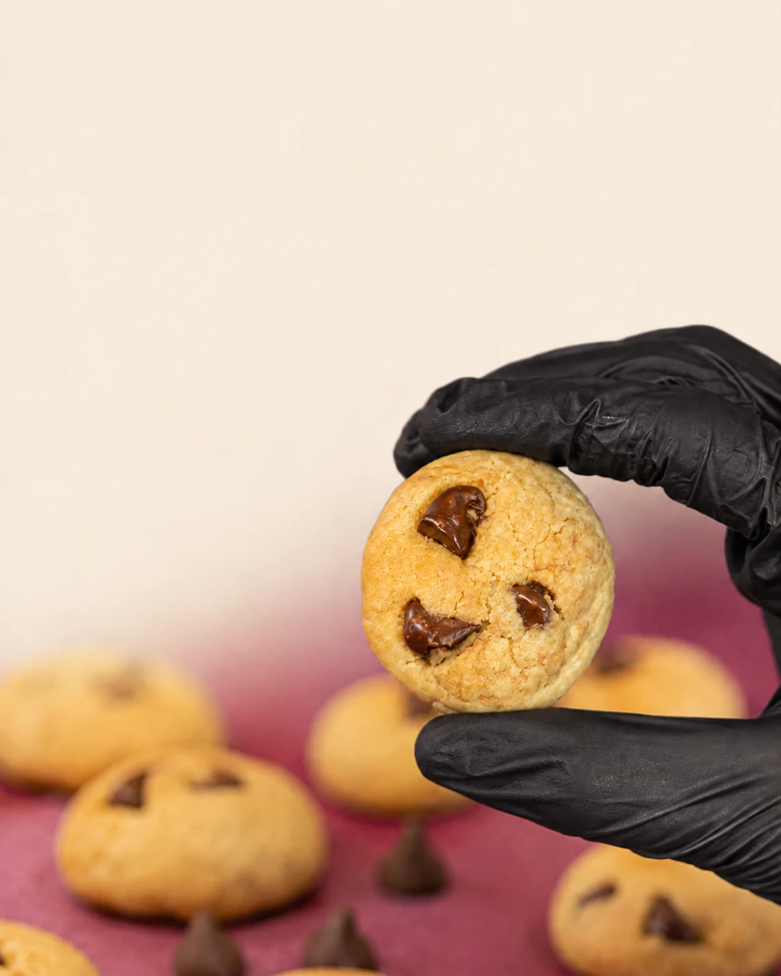 Cookie con chocolate en primer plano